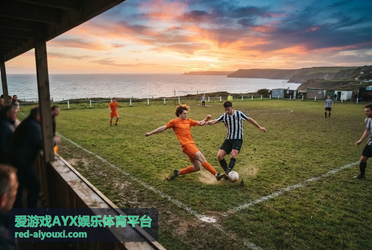 爱游戏AYX娱乐体育平台平台介绍